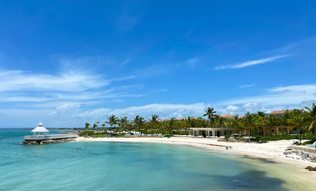 A palm-lined beach with turquoise water in Punta Cana